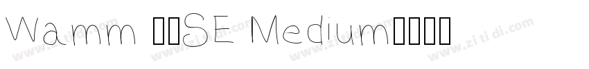 Wamm 01SE Medium字体转换
